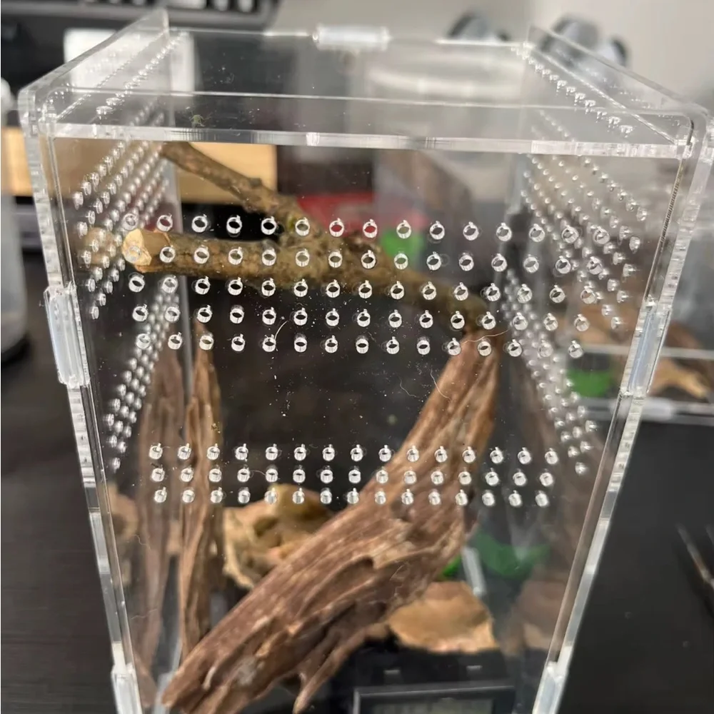 Clear Jumping Spider Tarantula Small Animal Reptile Acrylic Enclosure Cage Home
